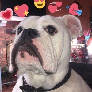 Meet your Posher, Gisselle